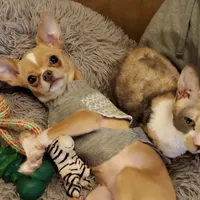 processed/8c581eb3-63f3-435e-9663-a8024d27fbc5/facility/5c9daec8-3e62-4a37-88a7-a882d84a7eee