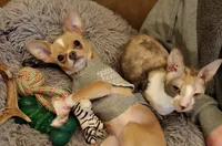 processed/8c581eb3-63f3-435e-9663-a8024d27fbc5/facility/5c9daec8-3e62-4a37-88a7-a882d84a7eee