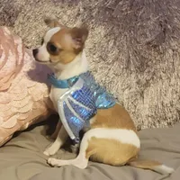 processed/8c581eb3-63f3-435e-9663-a8024d27fbc5/facility/8c66339e-c133-4ea1-b9f4-a7cf1e7b50f0