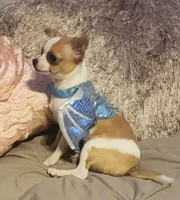 processed/8c581eb3-63f3-435e-9663-a8024d27fbc5/facility/8c66339e-c133-4ea1-b9f4-a7cf1e7b50f0