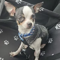 processed/8c581eb3-63f3-435e-9663-a8024d27fbc5/facility/eef3f64c-5526-486f-a9df-ab99f041b227