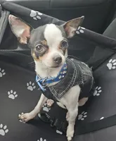 processed/8c581eb3-63f3-435e-9663-a8024d27fbc5/facility/eef3f64c-5526-486f-a9df-ab99f041b227