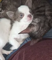 processed/8c581eb3-63f3-435e-9663-a8024d27fbc5/listing/a37489c7-da75-40c4-8634-200e87651682/468ef000-1fd7-400f-868d-6b1d0e36cb6f