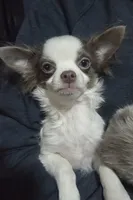 processed/8c581eb3-63f3-435e-9663-a8024d27fbc5/listing/a37489c7-da75-40c4-8634-200e87651682/53bfecfb-c42d-4438-bebb-48eb3ab75927