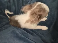 processed/8c581eb3-63f3-435e-9663-a8024d27fbc5/listing/a37489c7-da75-40c4-8634-200e87651682/65a6ed99-6863-4f68-8f3d-db1784e7d64e