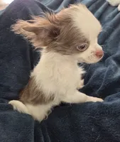 processed/8c581eb3-63f3-435e-9663-a8024d27fbc5/listing/a37489c7-da75-40c4-8634-200e87651682/94f8f5ed-9bde-4a59-938c-41fc69c779ea