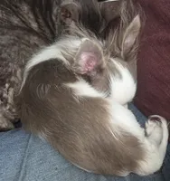 processed/8c581eb3-63f3-435e-9663-a8024d27fbc5/listing/a37489c7-da75-40c4-8634-200e87651682/a5606df1-fc76-490c-bffd-ec135dbf0ba7