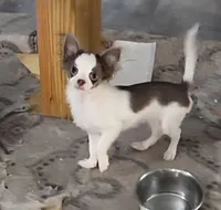 processed/8c581eb3-63f3-435e-9663-a8024d27fbc5/listing/a37489c7-da75-40c4-8634-200e87651682/d596ec1a-9d7b-4d60-8ae1-2ef0c44988e3