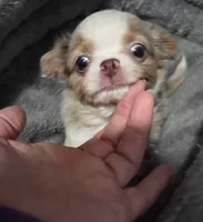 processed/8c581eb3-63f3-435e-9663-a8024d27fbc5/listing/c80bc1b3-717f-40f7-b567-90548135be95/18a5cc3c-f773-4285-8609-1feae0cbe8bc