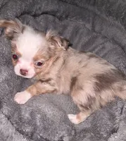 processed/8c581eb3-63f3-435e-9663-a8024d27fbc5/listing/c80bc1b3-717f-40f7-b567-90548135be95/1f3ecc88-97ae-42e5-8963-1e8282368e22