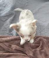 processed/8c581eb3-63f3-435e-9663-a8024d27fbc5/listing/c80bc1b3-717f-40f7-b567-90548135be95/33541ab3-4eed-43c2-aa4a-9886fe43aaf9