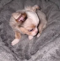 processed/8c581eb3-63f3-435e-9663-a8024d27fbc5/listing/c80bc1b3-717f-40f7-b567-90548135be95/3b125e48-b23c-4764-bad4-2d132561b542