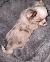 processed/8c581eb3-63f3-435e-9663-a8024d27fbc5/listing/c80bc1b3-717f-40f7-b567-90548135be95/5e2dfd32-2ab3-4a6f-b3d8-ee67e0045f50