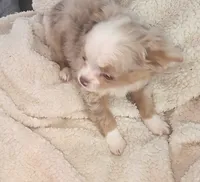 processed/8c581eb3-63f3-435e-9663-a8024d27fbc5/listing/c80bc1b3-717f-40f7-b567-90548135be95/7f420a8f-5a03-4884-993c-5c5130183c4d