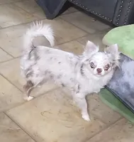 processed/8c581eb3-63f3-435e-9663-a8024d27fbc5/listing/c80bc1b3-717f-40f7-b567-90548135be95/f37ac659-8eb3-4ea8-b615-b33b2f492186