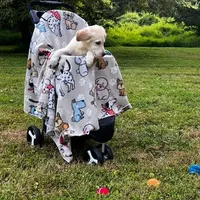 Benjamin, a male Miniature Goldendoodle for sale in Ottsville, PA – Photo 3 of 6