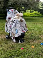 Benjamin, a male Miniature Goldendoodle for sale in Ottsville, PA – Photo 3 of 6