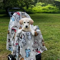 Benjamin, a male Miniature Goldendoodle for sale in Ottsville, PA – Photo 4 of 6