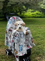 Benjamin, a male Miniature Goldendoodle for sale in Ottsville, PA – Photo 4 of 6