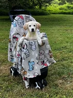 Benjamin, a male Miniature Goldendoodle for sale in Ottsville, PA – Photo 2 of 6