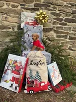 Noel, a female Miniature Labradoodle for sale in Ottsville, PA – Photo 3 of 4