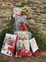 Noel, a female Miniature Labradoodle for sale in Ottsville, PA – Photo 1 of 4