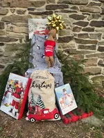 Noel, a female Miniature Labradoodle for sale in Ottsville, PA – Photo 4 of 4