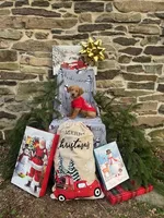 Noel, a female Miniature Labradoodle for sale in Ottsville, PA – Photo 2 of 4