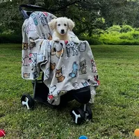 Jack, a male Miniature Goldendoodle for sale in Ottsville, PA – Photo 5 of 5