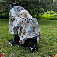 Jack, a male Miniature Goldendoodle for sale in Ottsville, PA – Photo 4 of 5