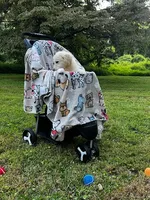 Jack, a male Miniature Goldendoodle for sale in Ottsville, PA – Photo 4 of 5