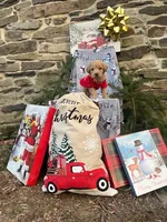 Holly, a female Miniature Labradoodle for sale in Ottsville, PA – Photo 4 of 6