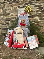 Holly, a female Miniature Labradoodle for sale in Ottsville, PA – Photo 6 of 6