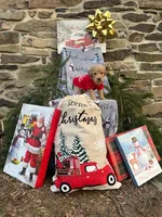 Holly, a female Miniature Labradoodle for sale in Ottsville, PA – Photo 2 of 6