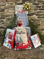 Holly, a female Miniature Labradoodle for sale in Ottsville, PA – Photo 3 of 6