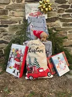 Holly, a female Miniature Labradoodle for sale in Ottsville, PA – Photo 1 of 6