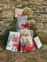 Holly, a female Miniature Labradoodle for sale in Ottsville, PA – Photo 5 of 6