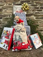 Christopher, a male Miniature Labradoodle for sale in Ottsville, PA – Photo 3 of 3