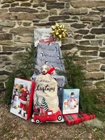 Nicholas, a male Miniature Labradoodle for sale in Ottsville, PA – Photo 3 of 4