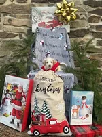 Nicholas, a male Miniature Labradoodle for sale in Ottsville, PA – Photo 4 of 4