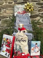 Nicholas, a male Miniature Labradoodle for sale in Ottsville, PA – Photo 1 of 4