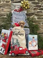 Aspen mini, a male Miniature Labradoodle for sale in Ottsville, PA – Photo 3 of 5