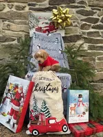 Aspen mini, a male Miniature Labradoodle for sale in Ottsville, PA – Photo 2 of 5