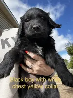 processed/8c62d2fd-1785-4bdf-aa43-7f836a53fb01/facility/047e4319-a4ee-4326-8408-bb215afbca9a