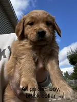 processed/8c62d2fd-1785-4bdf-aa43-7f836a53fb01/facility/4eba070f-17f3-474b-9d1c-42334c8fef20