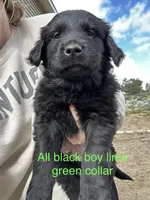 processed/8c62d2fd-1785-4bdf-aa43-7f836a53fb01/facility/862b9f54-3f79-4a0f-94da-bb15c8b63aee