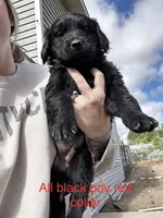 processed/8c62d2fd-1785-4bdf-aa43-7f836a53fb01/facility/9fe2437e-ca51-4bce-b405-16dbc95fcb13