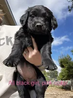 processed/8c62d2fd-1785-4bdf-aa43-7f836a53fb01/facility/a7c6d947-c7d7-4017-88b2-28a43d699dda