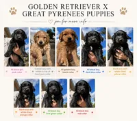 processed/8c62d2fd-1785-4bdf-aa43-7f836a53fb01/facility/b0813e6f-5296-4042-a755-7cf889ab27f7