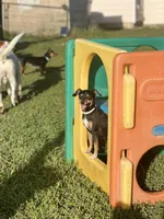 processed/8c66876c-a79a-482d-9aea-c028df8f65b3/facility/13e5b020-a962-450d-aaba-b57c2df01ec1